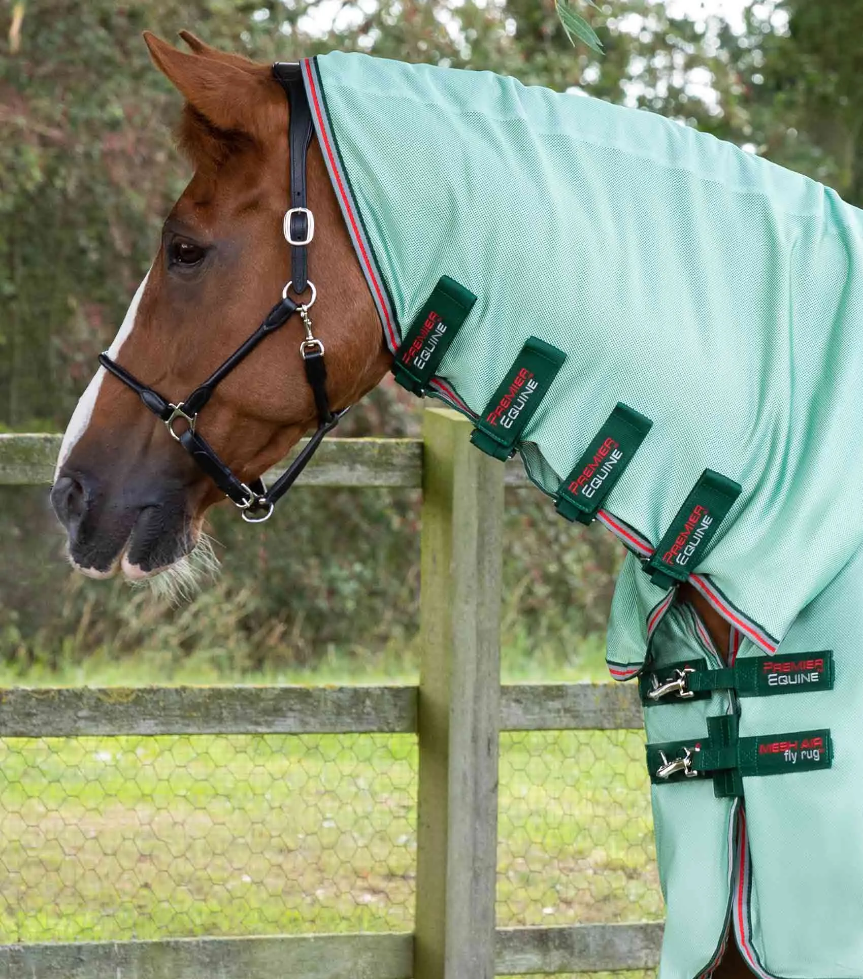 Combo Mesh Air Fly Rug with Surcingles Green